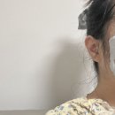 꿈꾸는 댕 이미지