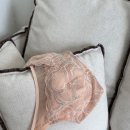 6117 | 출산 전후, 나를 위한 브라 선택 🌸마더피아 RBR6117 수유 브라 리뷰