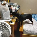 김종철내과의원 이미지