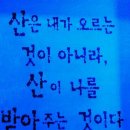 동강카센타 이미지