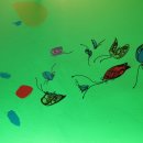 나비무인텔 이미지