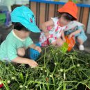 꿈나래어린이집[아이행복] 이미지