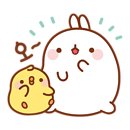 주식회사 정수