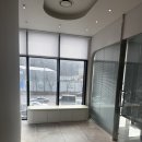 화서동물병원 | [수원 동물병원 추천] 화서동물병원 고양이 검진 및 검사 추천이유 내돈내산 후기