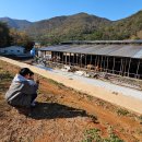 언덕목장 이미지