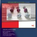 신반 Daum카페