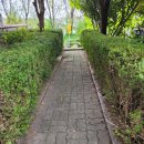 안성천 연결도로 이미지