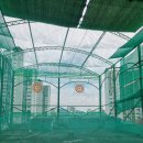 현대야외스크린골프 이미지