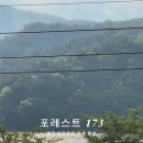 포레스트 173 이미지
