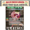 전복품은돼지 이미지