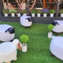 수빈목장 이미지