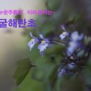 (주)제주소리 제주의소리