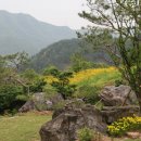 서대산약용자연휴양림 이미지