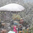 수산리농장 이미지