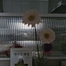 시그마북스