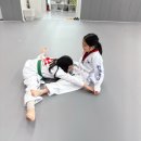 한국체대 신곡태권도 이미지