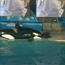 범고래PC 이미지