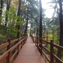 수봉공원 (유아숲체험원) 이미지