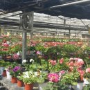 하일농장 이미지