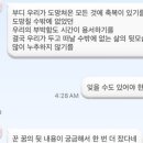 달토끼24 이미지