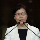 라인인 법과 행정 이미지