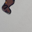 우리서울내과의원 이미지