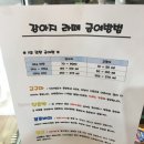 쥬쥬펫 네이버블로그