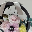 페이퍼플라워문화센터