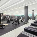 스파렉스 이미지