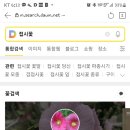 성경온누리약국 이미지