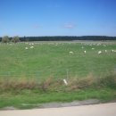 대평원목장 이미지