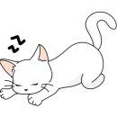 우리생활연구소 이미지