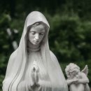 충북도립대학교 이미지