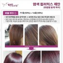 태후사랑 이미지