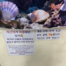 아이트리안경 | [보홀 여행 #9] 보홀 기념품 샵 가격 및 비교(코코망고, 몽키트리, 아일랜드 수비니어, 욜스)