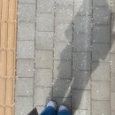 오락가락도 락이다