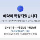 주니농장 | 용인 아기랑 갈만한 곳 | 딸기러버 아기와 함께 |딸기랑소풍가기좋은날 딸기 체험농장 다녀온 후기