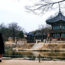 종로-종로-종로-종-117 이미지