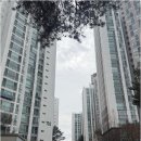 일성부동산중개 네이버블로그