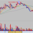 피앤이 바이오 이미지