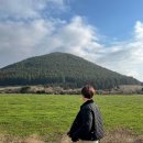 더 플로트 앳 송당 | 제주 여행 : 더 플로트 앳 송당 /제주 동쪽 독채펜션 /제주 동쪽 맛집