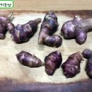 이용근농장 이미지