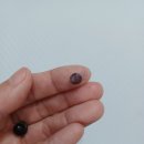 우소아청소년과의원 이미지