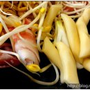 콩불먹으면돼지 이미지