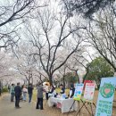 대구북구정신건강복지센터 | 대구북구정신건강복지센터, 봄철 맞이 정신건강 예방을 위한 ‘벚꽃 캠페인’ 운영
