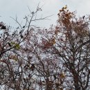 남태령옛길 이미지