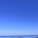 스텔라제주