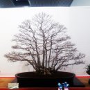 수형축산 이미지