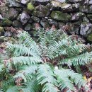 설악산오색마을 이미지