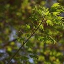 무한천체육공원 주차장 이미지